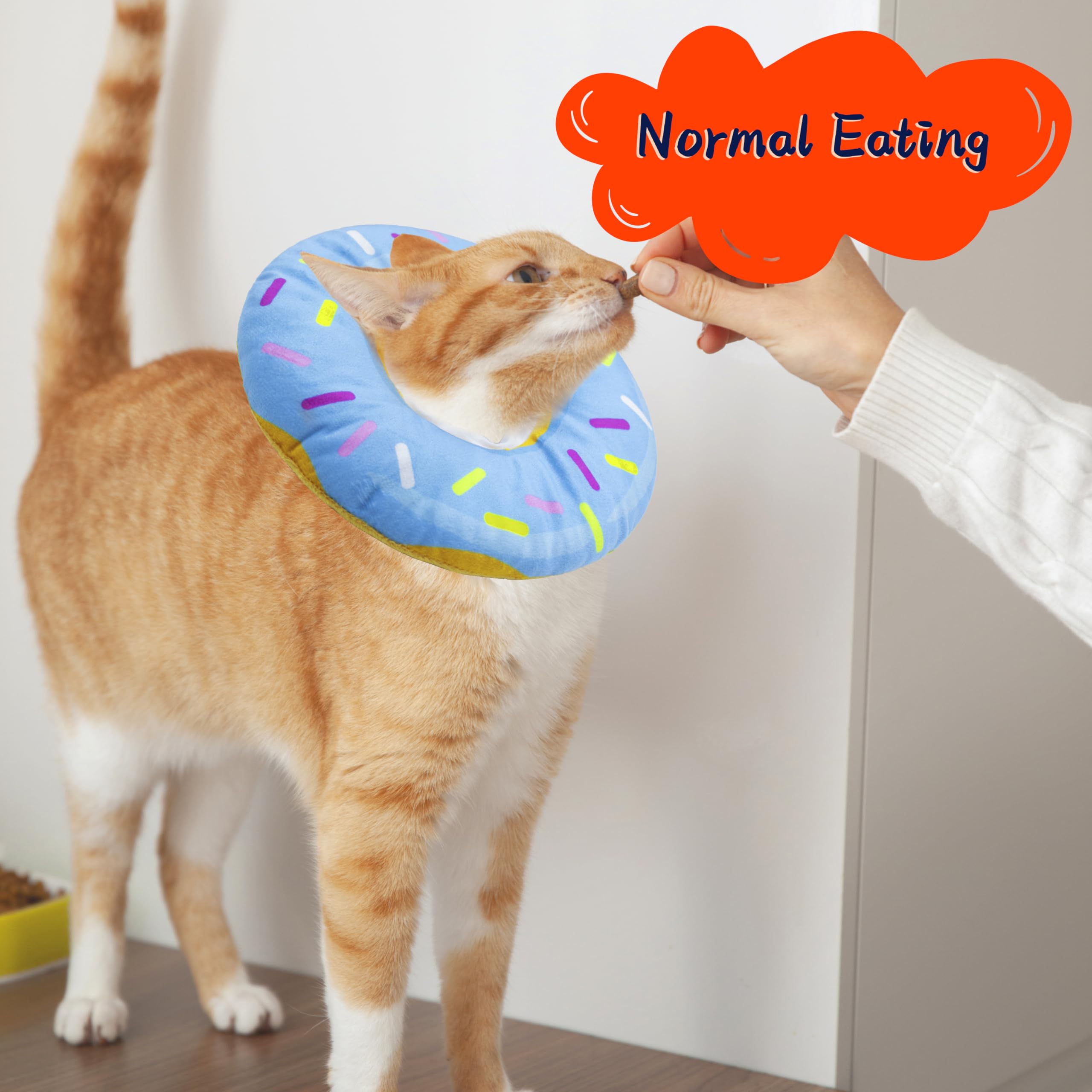 Cono no obstruye la visión de tu gato; diseño que permite moverse con libertad.