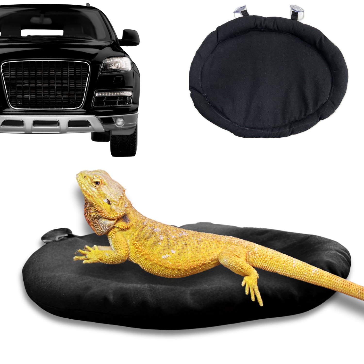 SEZDEKI cama dragon barbudo con ventosas para viajar cómodo y seguro