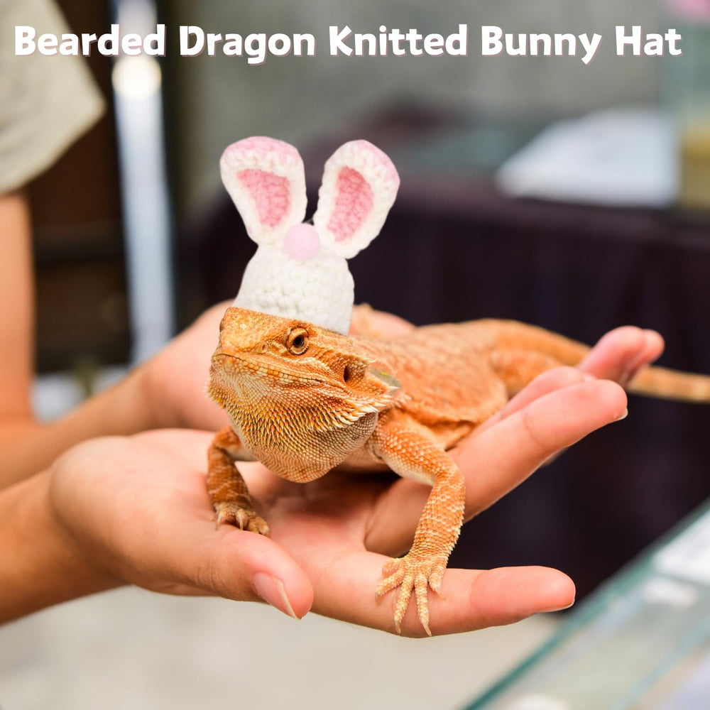 SEZDEKI disfraz de Pascua para mascotas pequeñas, perfecto para fotos