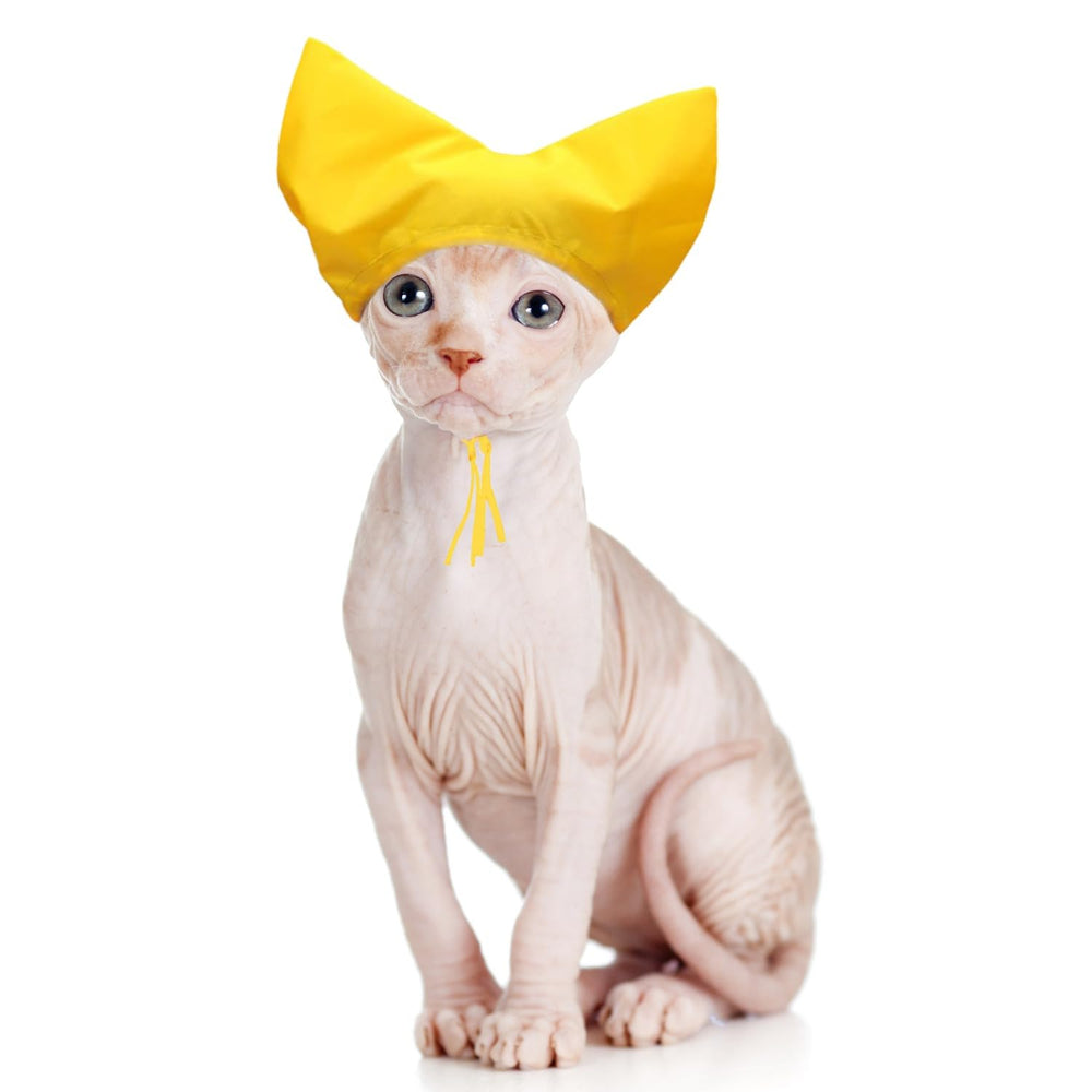 Gorro de ducha SEZDEKI protege orejas durante el baño para mascotas