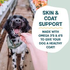 Alimentos reutilizados con cuidado, Shameless Pets reduce desperdicio