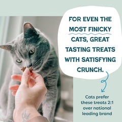 Shameless Pets Omega 3 y 6: favorece piel y pelaje saludables.