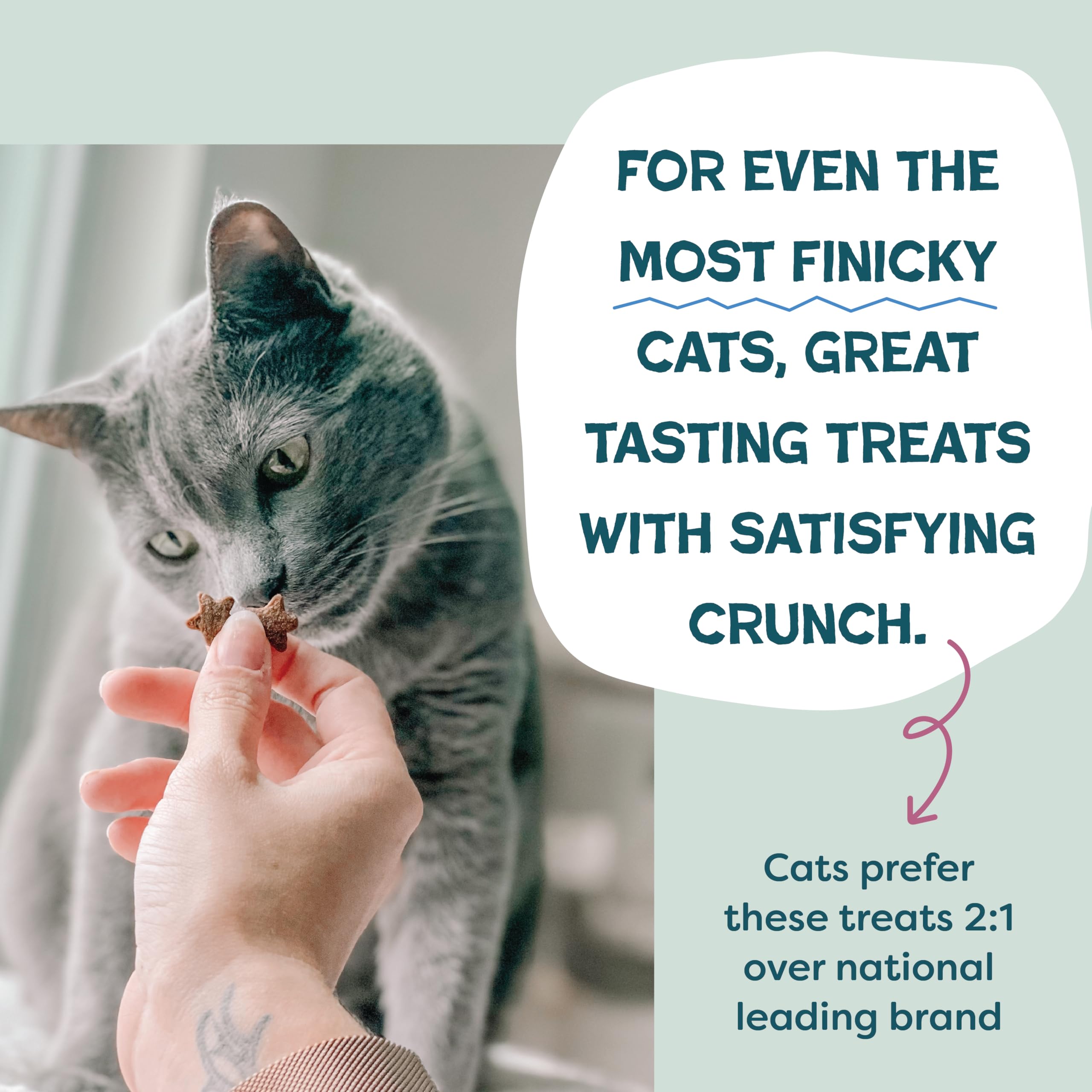 Shameless Pets, prebióticos y probióticos en snack para digestión suave.