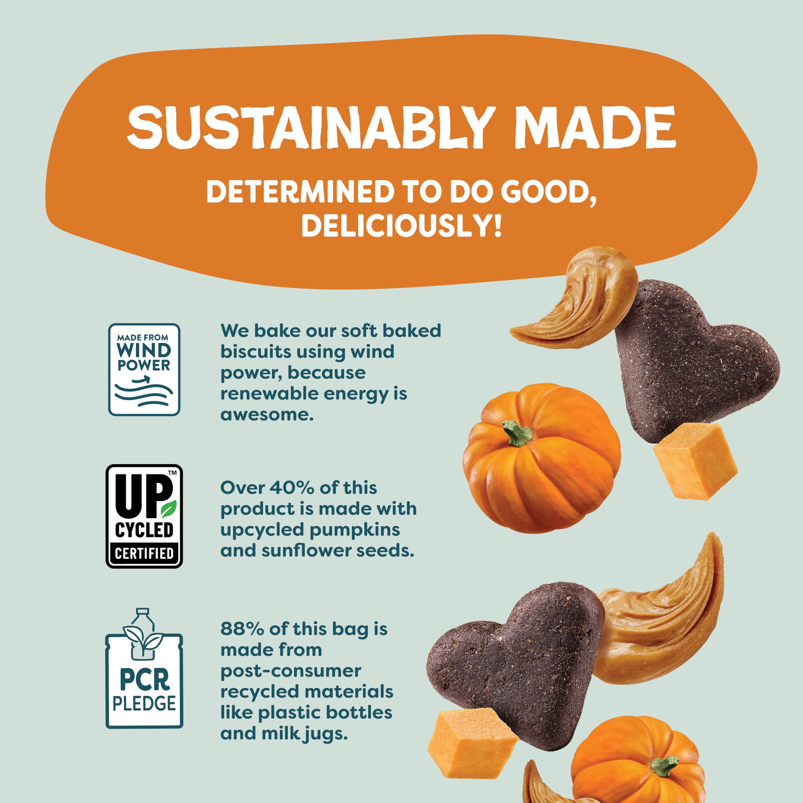 Shameless Pets Pumpkin Nut Partay, sin granos ni maíz para dieta sensible