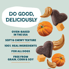 Shameless Pets Pumpkin Nut Partay, bandeja para servir como recompensa sabrosa