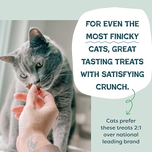 Shameless Pets Gatos: batatas recicladas para una opción sostenible.