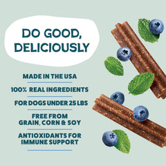 Shameless Pets Toothberry Mini con menta y arándano, sabor agradable para higiene bucal.