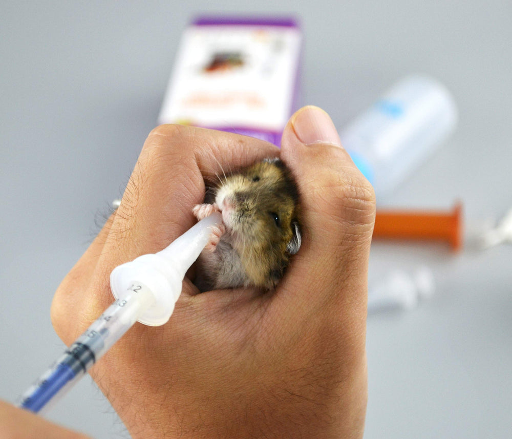 SHAOTONG biberón perrito para cachorros, alimentación práctica