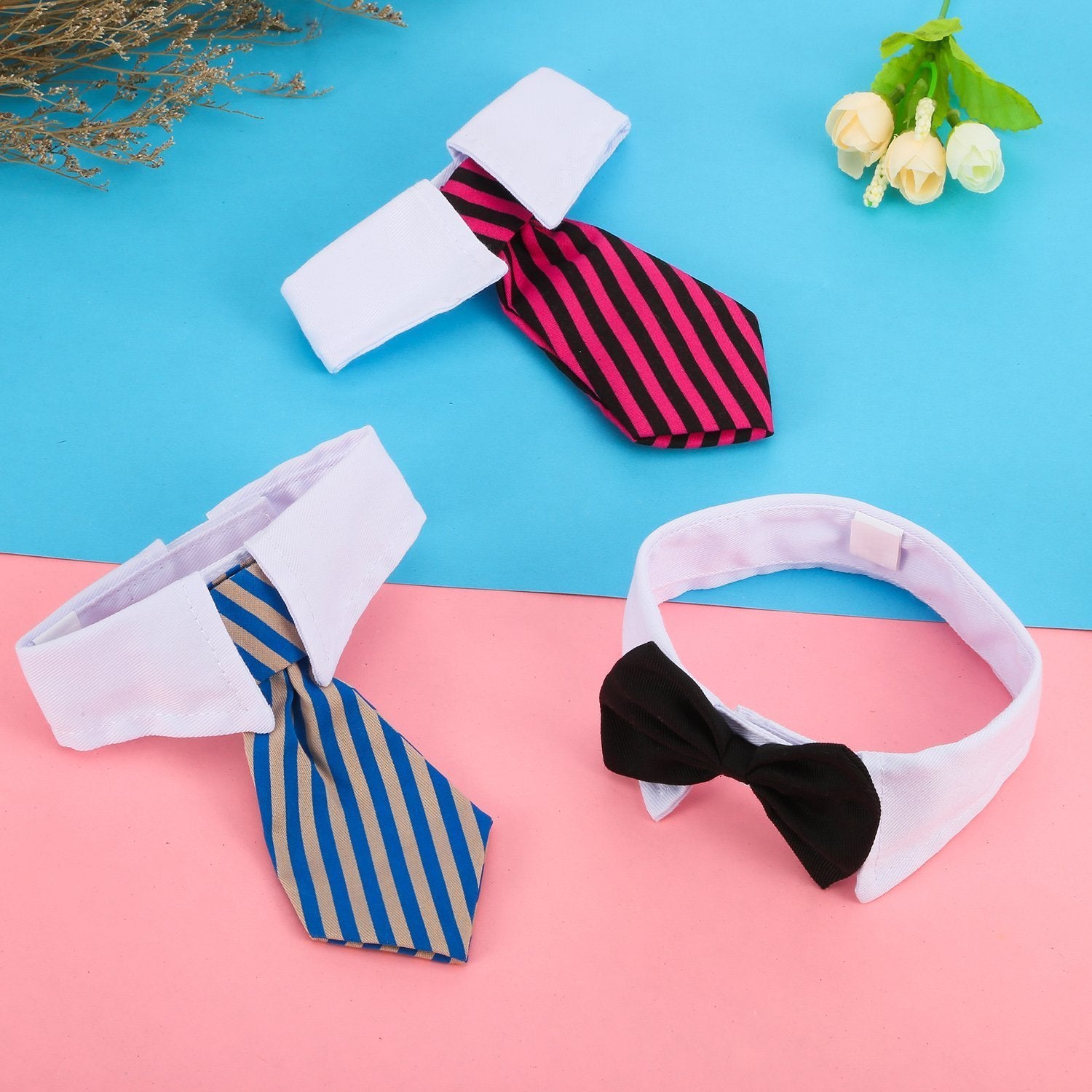 Shappy conjunto de pajaritas para gatos y perros, set compacto