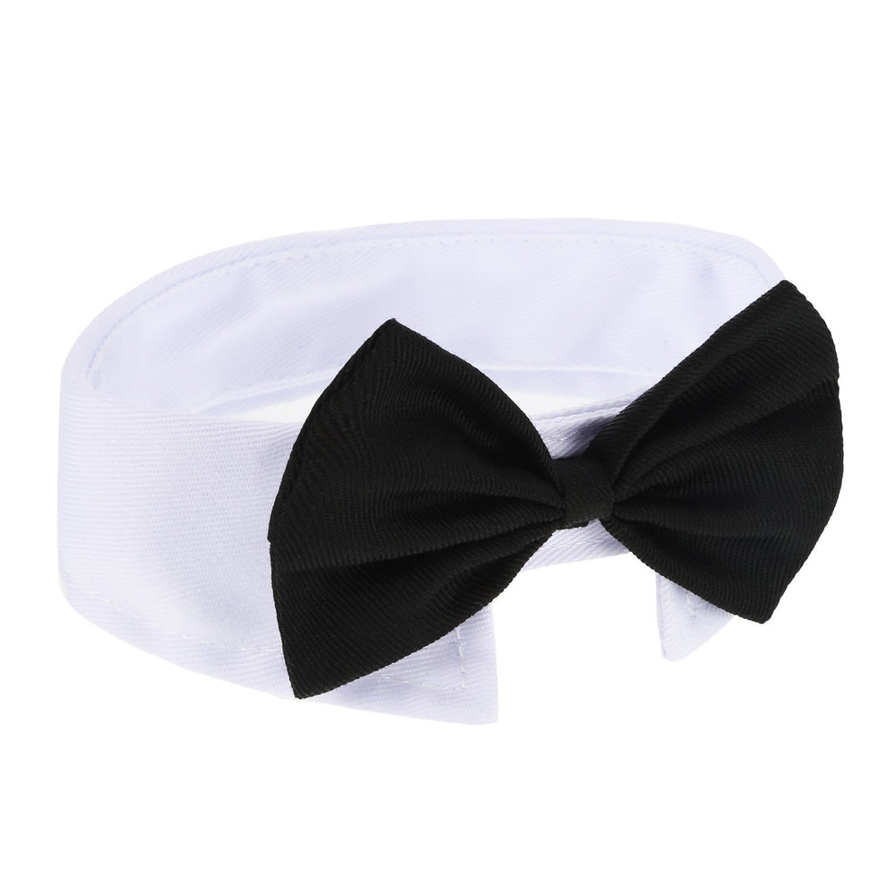 Shappy pajarita para uso diario en mascotas, apariencia elegante