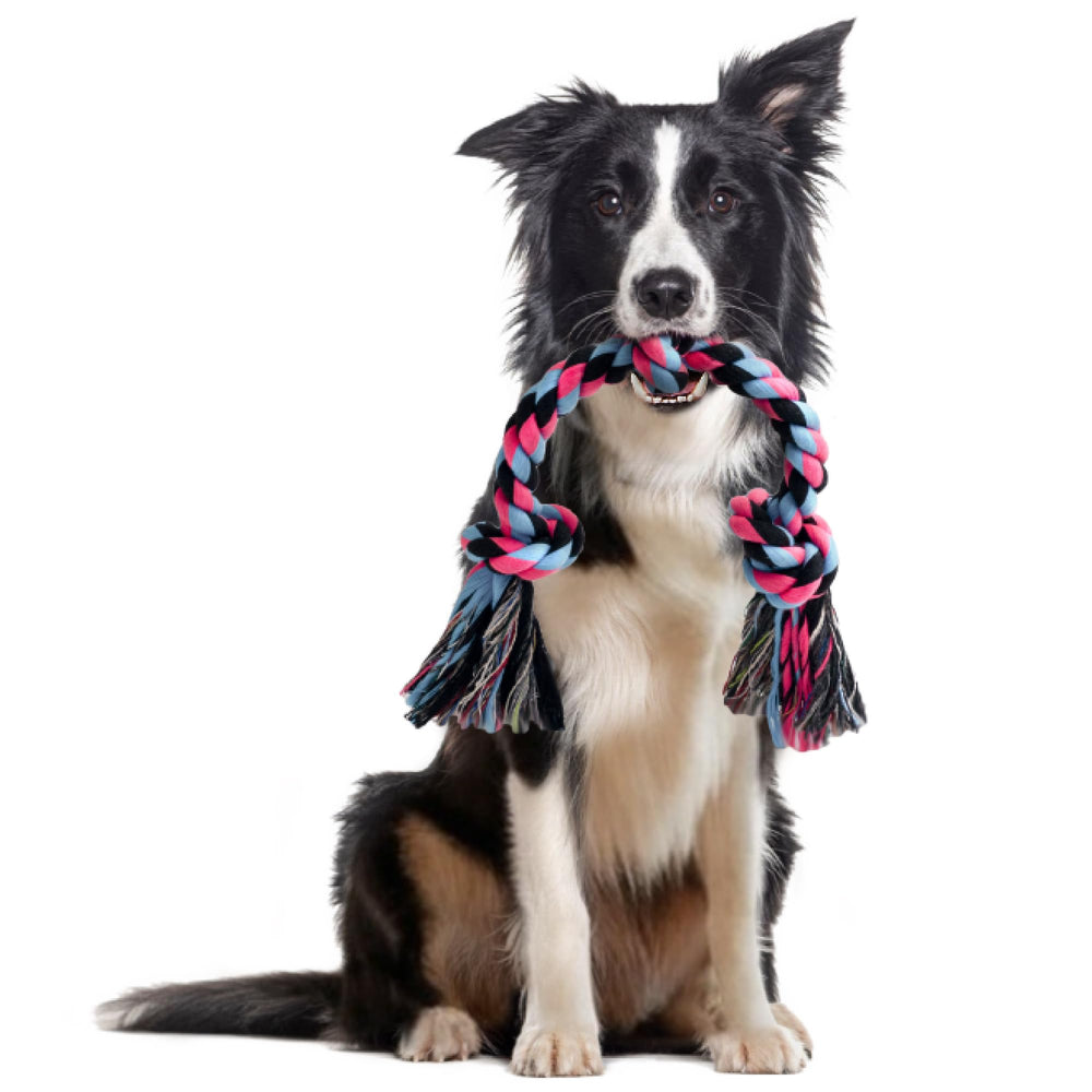 SHARLOVY Juguete de cuerda para perro mediano, ideal para juego interactivo al aire libre.