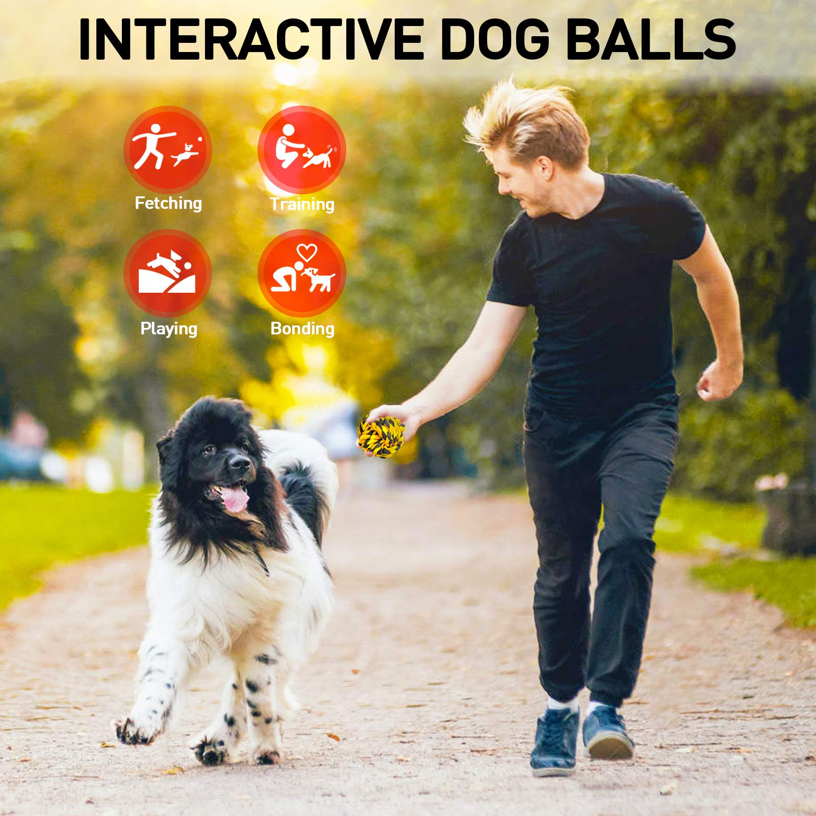 Conjunto de 6 pelotas SHARLOVY, entretenimiento continuo para perros.