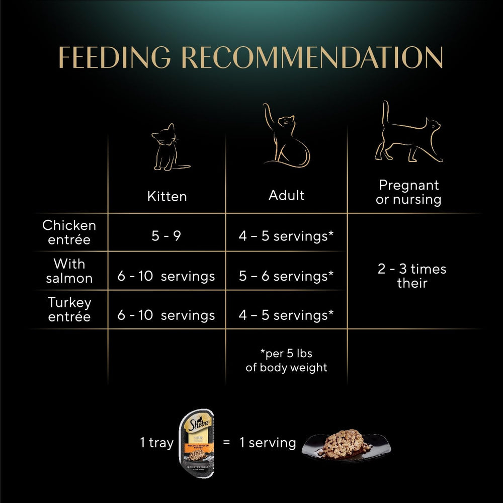 Sheba Perfect Portions sin granos ni rellenos: opción limpia y fácil de digerir