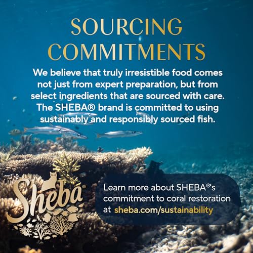 Sheba Porciones Fáciles de Servir: ideal para comidas rápidas