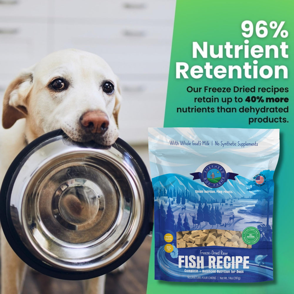 Shepherd Boy Farms alimento completo con alta proteína para perros