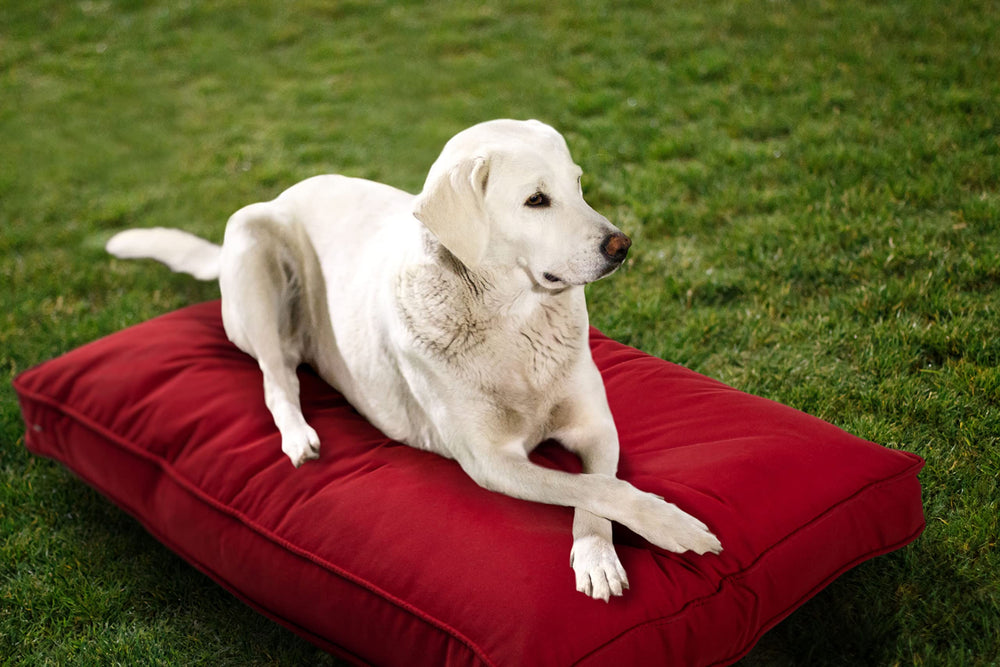 Cama para perros Sherry Kline Sunbrella, doble cara para interiores y exteriores