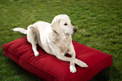 Cama para perros Sherry Kline Sunbrella, doble cara para interiores y exteriores