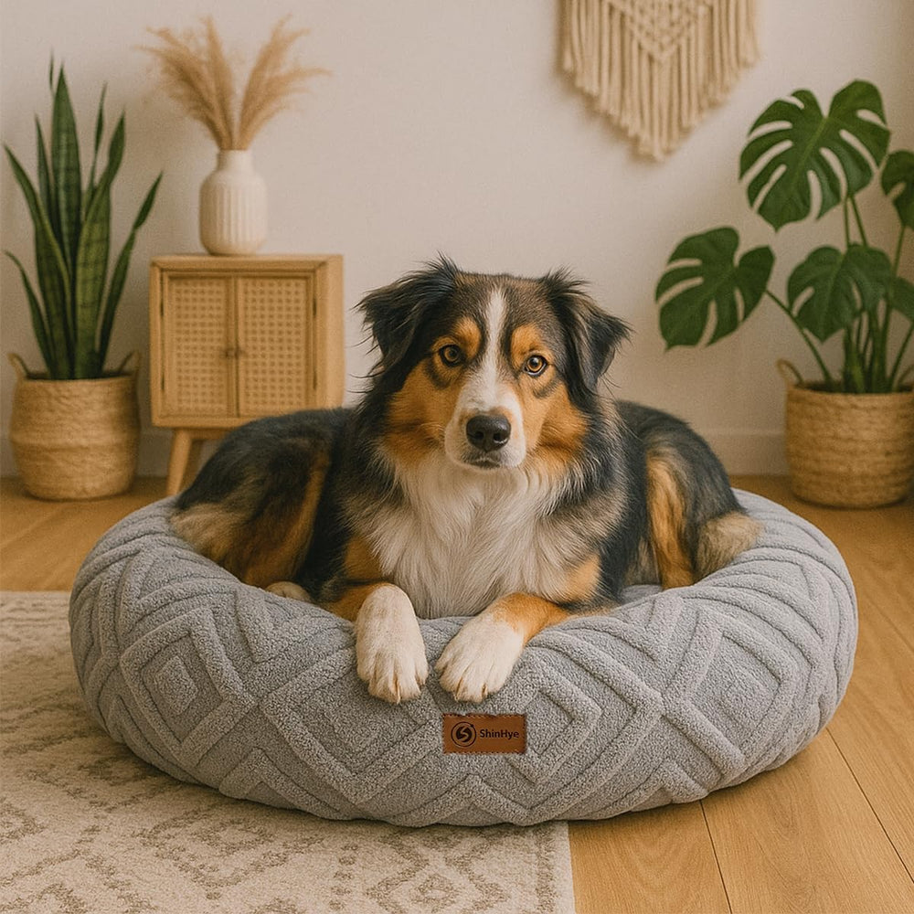 Uso interior diario con la cama ShinHye para mascotas pequeñas