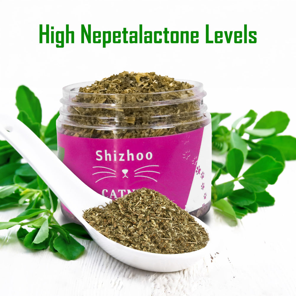Aroma aromático de Shizhoo Catnip para despertar interés.