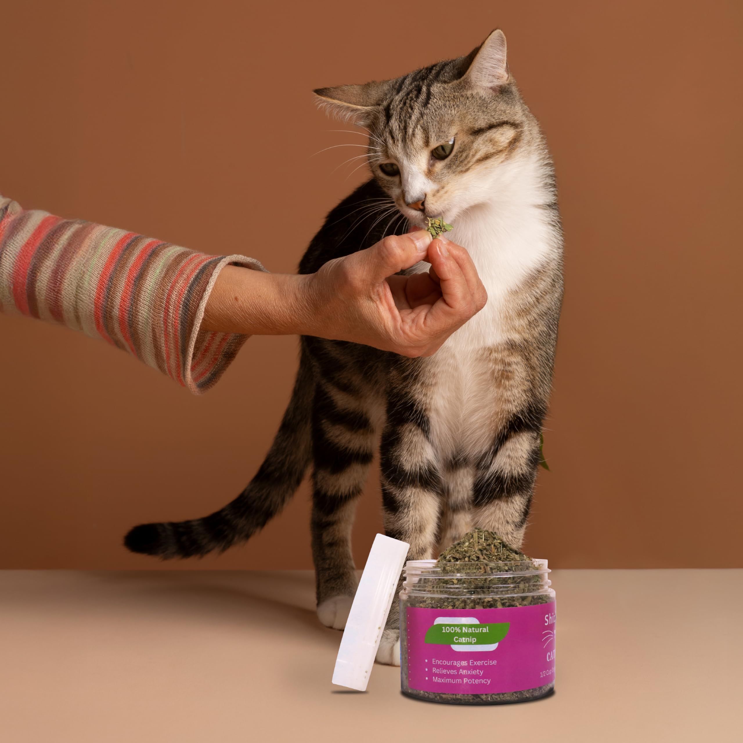 Snack natural de Shizhoo Catnip, opción saludable para gatos.