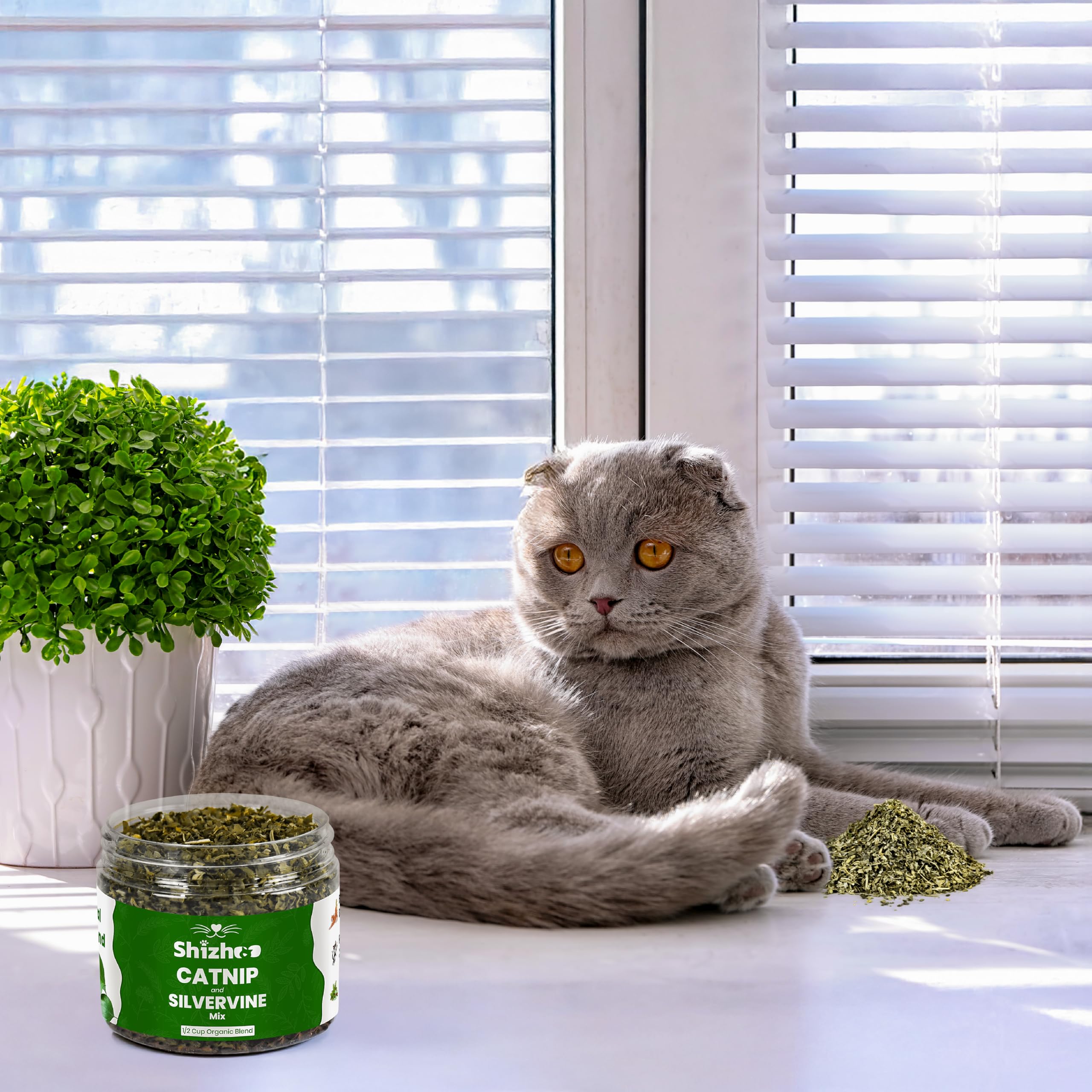 Shizhoo estante con presentación limpia del producto para el hogar