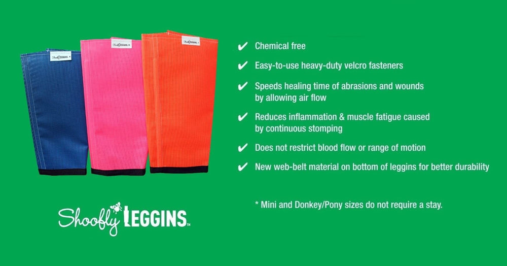 SHOOFLY Leggins patentados muestran diseño estable y duradero en cada uso