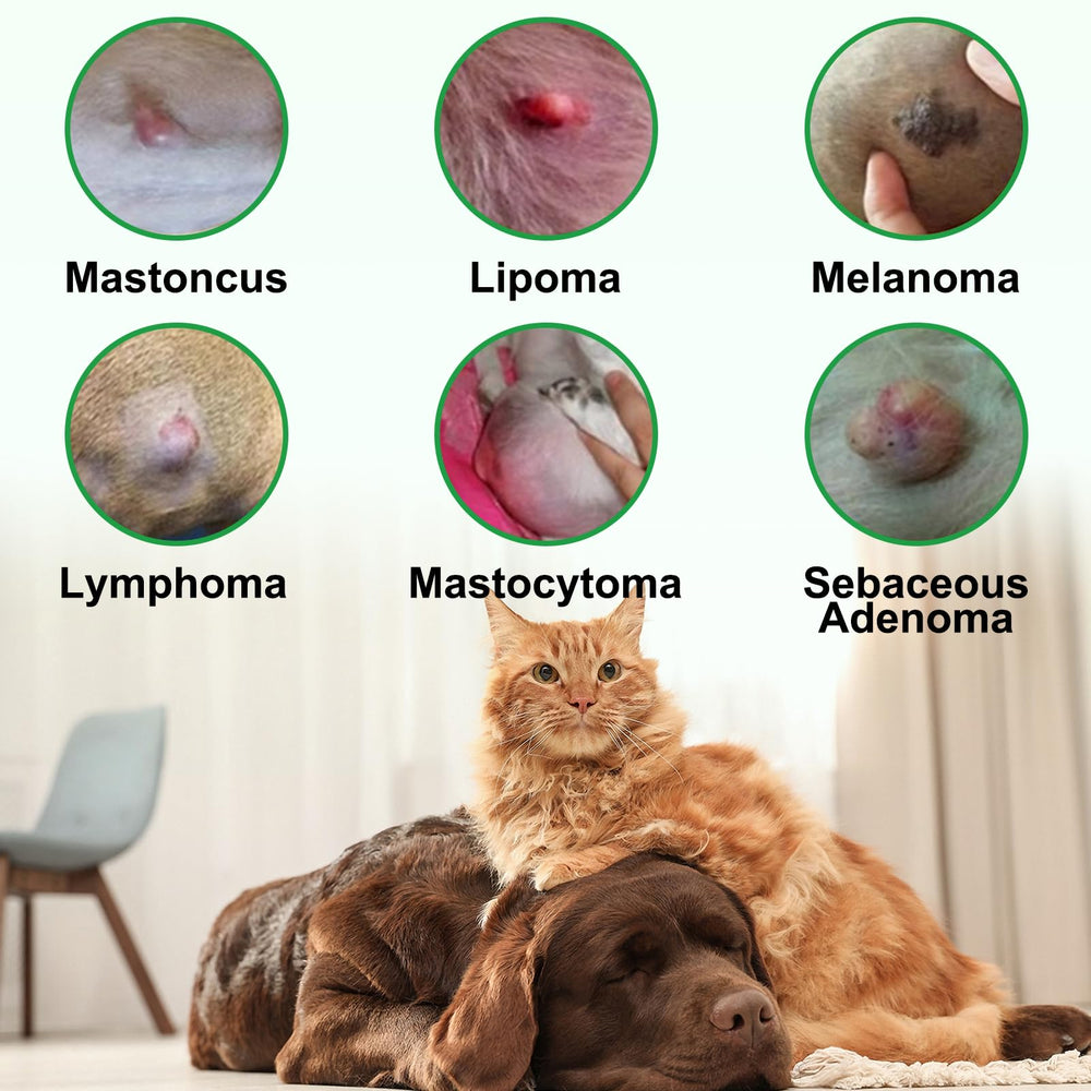 Shuangjia cuidado amable para perros y gatos con lipomas, fortaleciendo vínculo.
