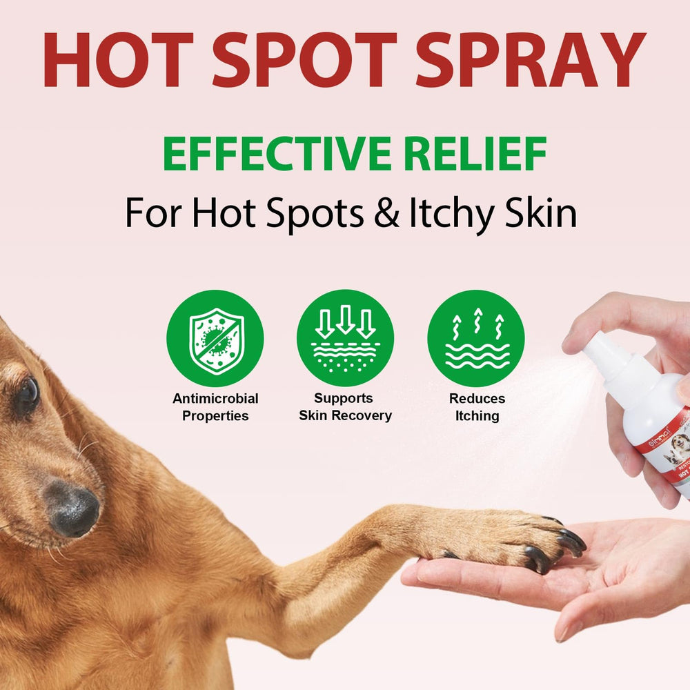 Cuidado de la piel de perro con dermatitis con Shuangjia