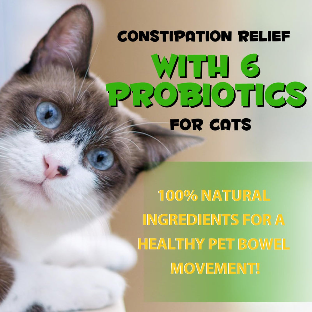 Shuangjia-probioticos-gato-digestivo: seis probióticos para apoyo digestivo del felino.