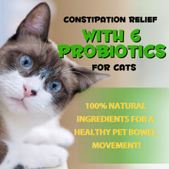 Shuangjia-probioticos-gato-digestivo: seis probióticos para apoyo digestivo del felino.