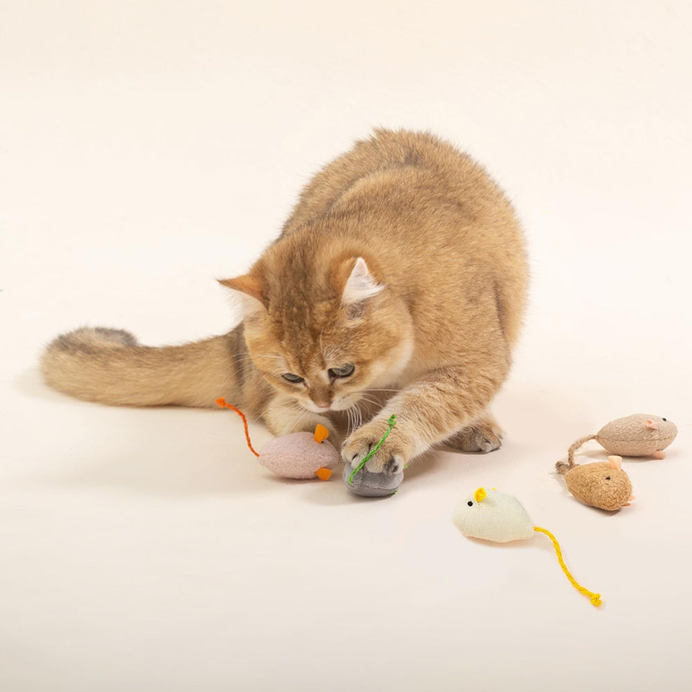 Juguete de peluche Hierba gatera Shudyear, perfecto para momentos de juego en casa