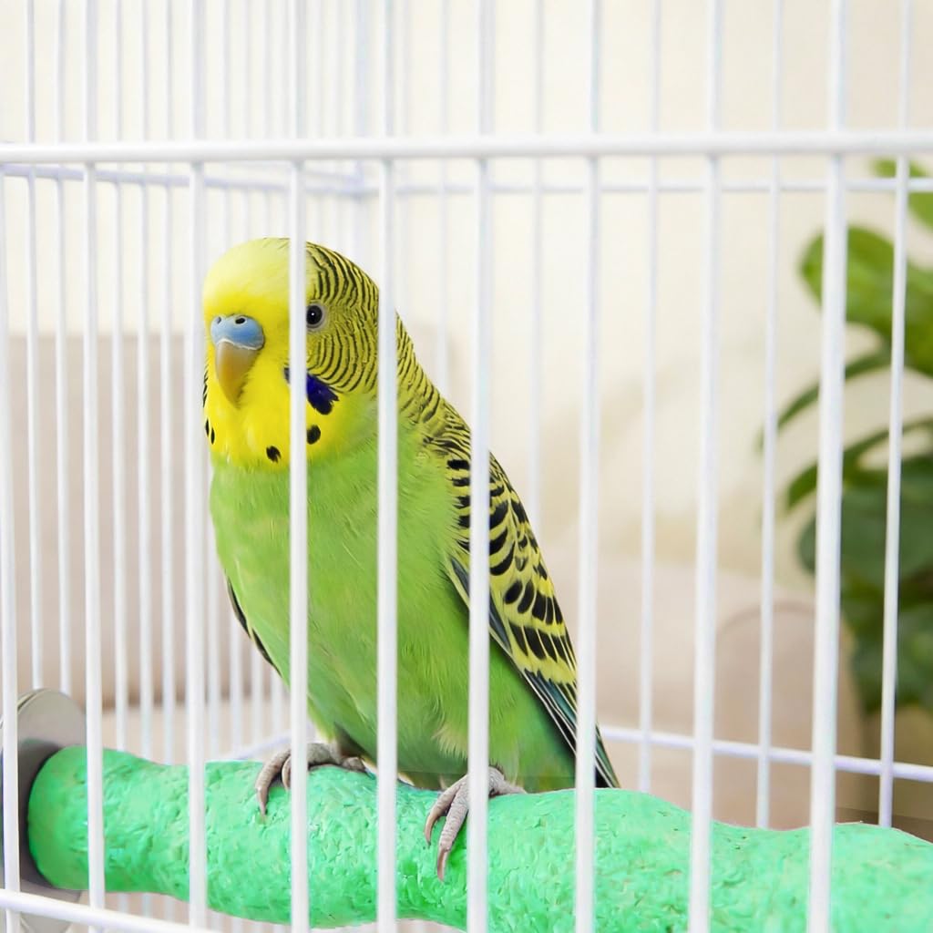 Sienle percha multiusos para aves pequeñas y roedores, ideal como juego