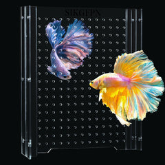 Divisor acrílico SIKGFPN para acuario de 5 galones con ventosas duraderas.