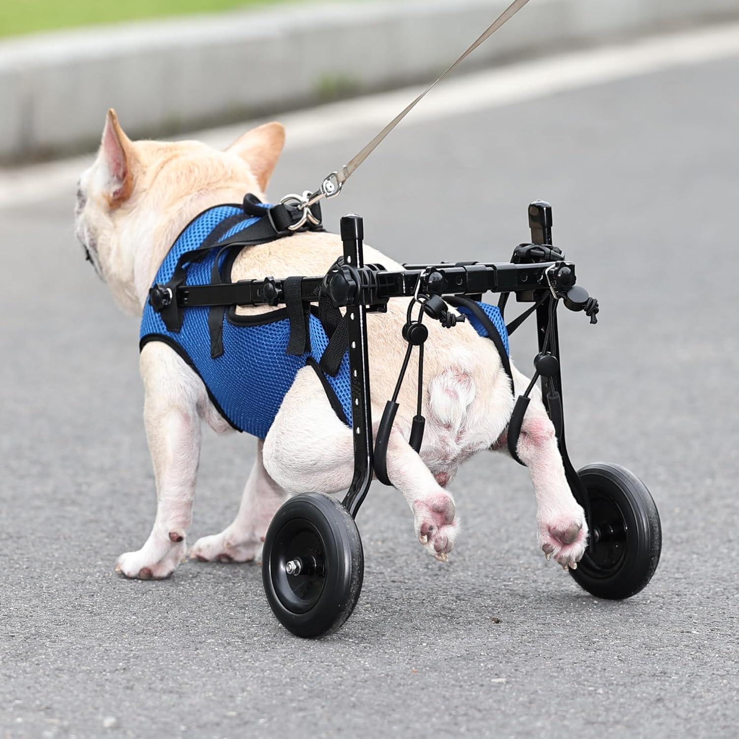 Silla de ruedas para perro pequeño, ideal para uso en exteriores