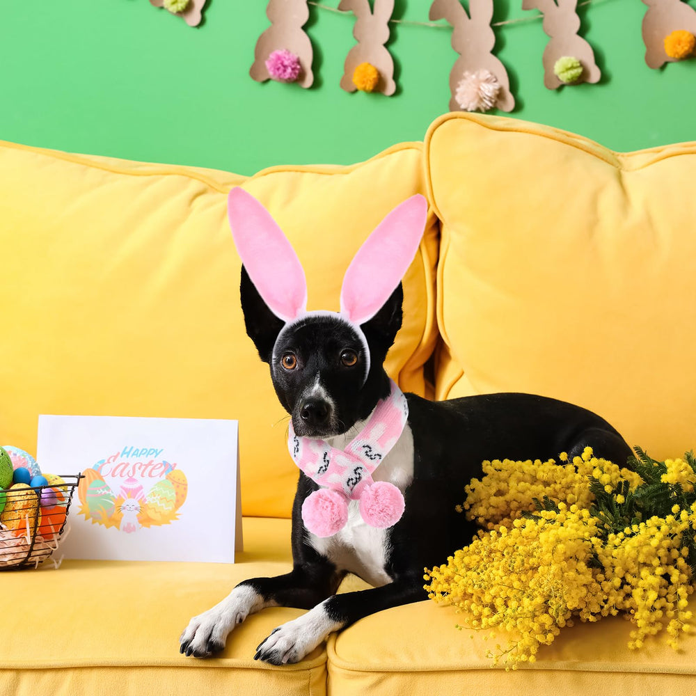 SilTriangle presentación de regalo lista para mascotas.