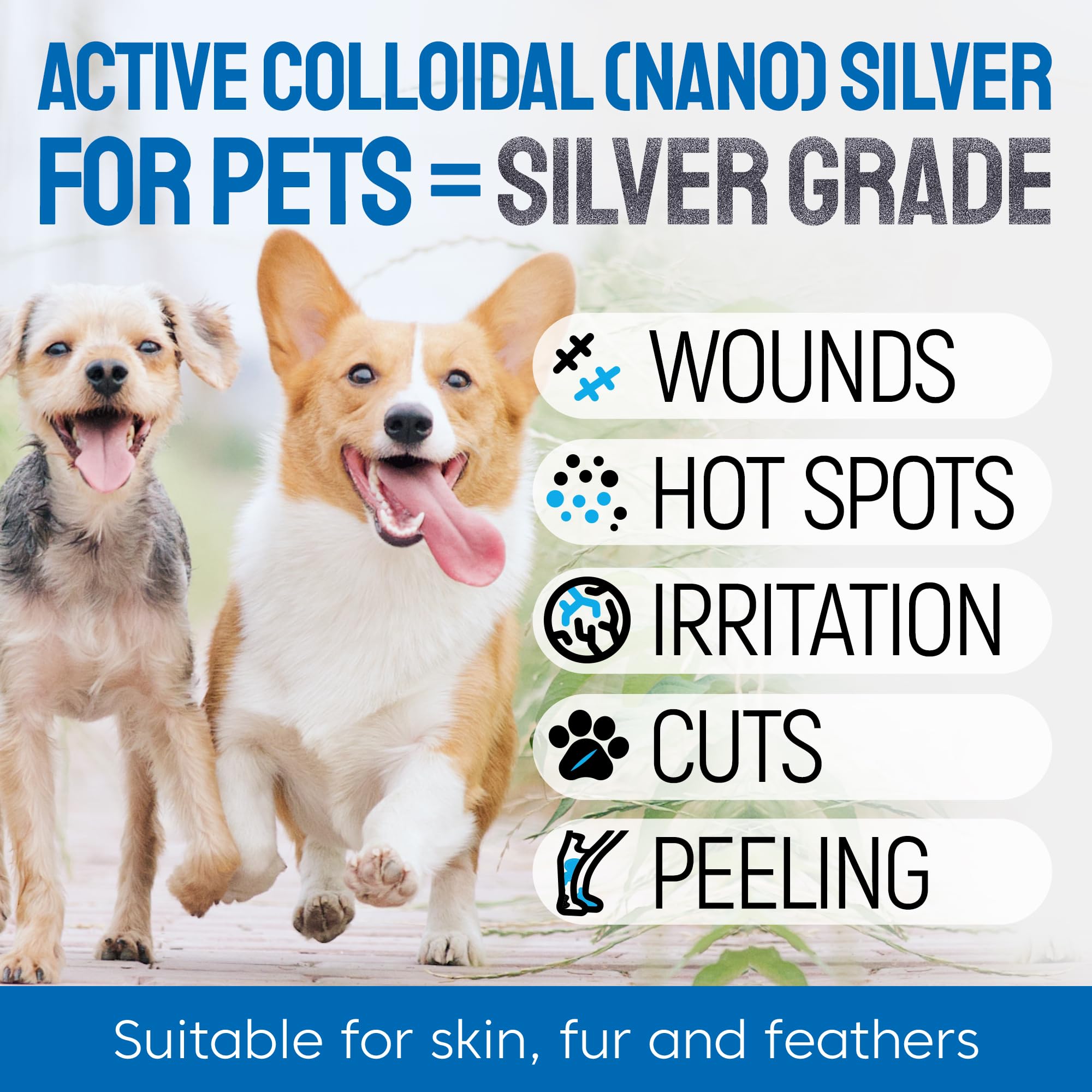 SILVER GRADE botella spray, uso cómodo para heridas superficiales de perros y gatos.