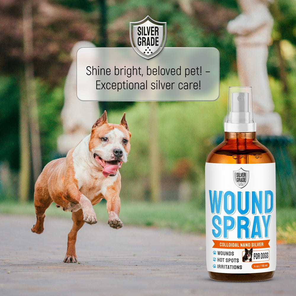 Silver Grade fórmula natural para perros, seguridad y bienestar en cada uso.