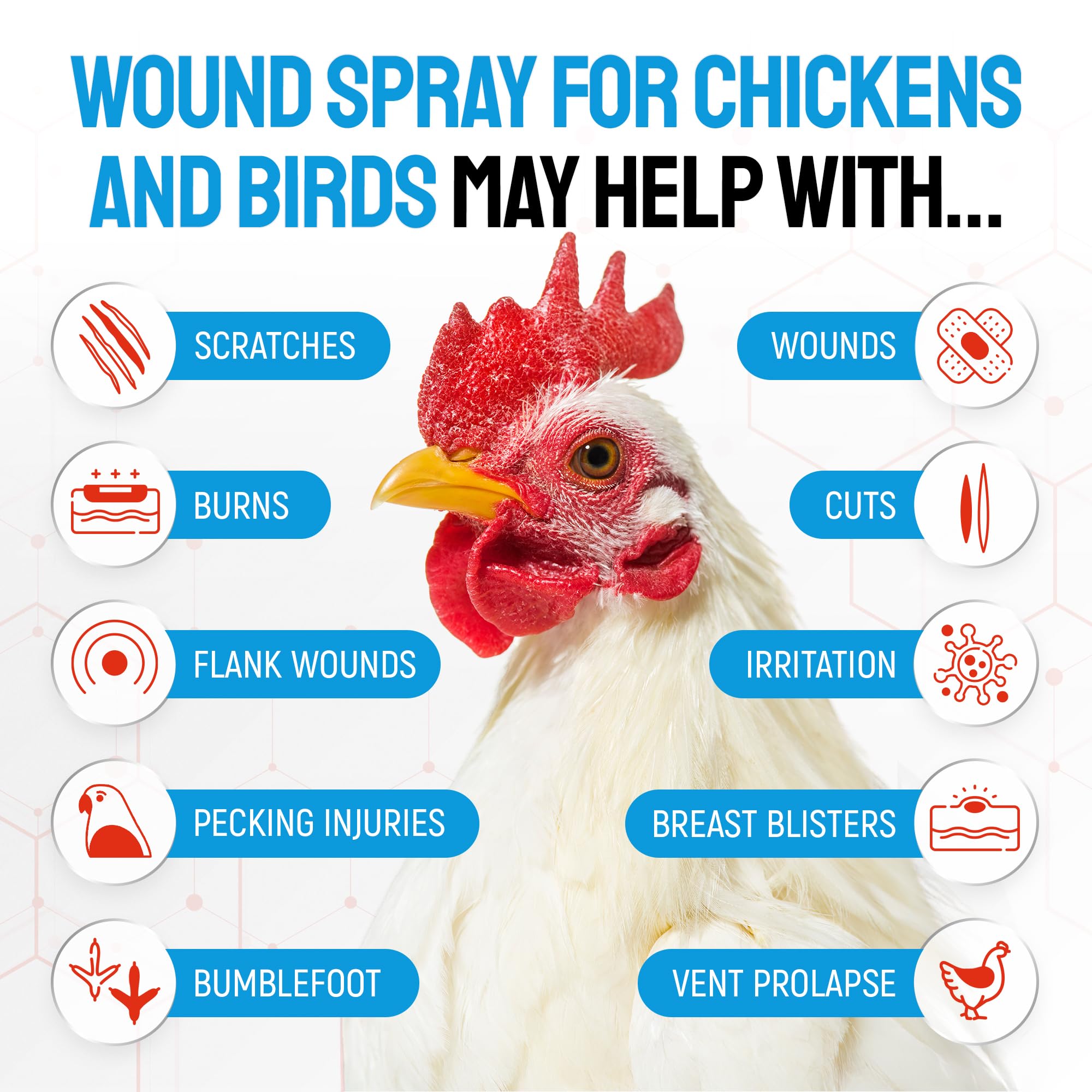 SILVER GRADE spray para aplicar en la herida de una gallina, cuidado rápido.