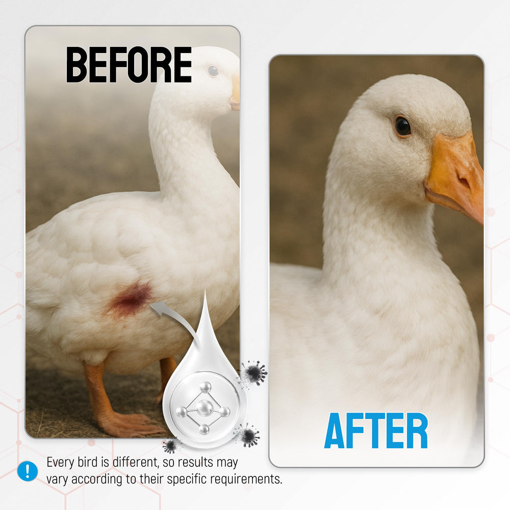SILVER GRADE spray, kit de primeros auxilios para aves, cuidado práctico.