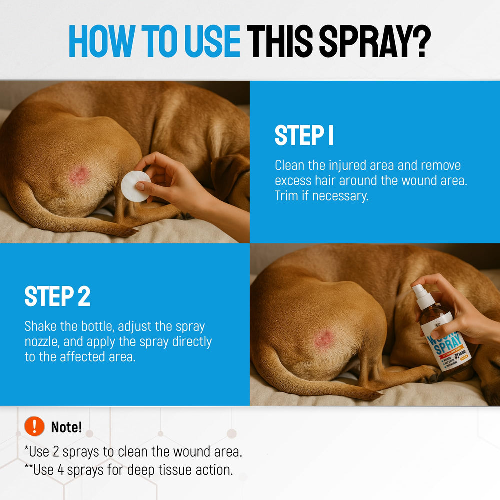 Silver Grade tratamiento para zonas irritadas de perros, ayuda rápida en casa.