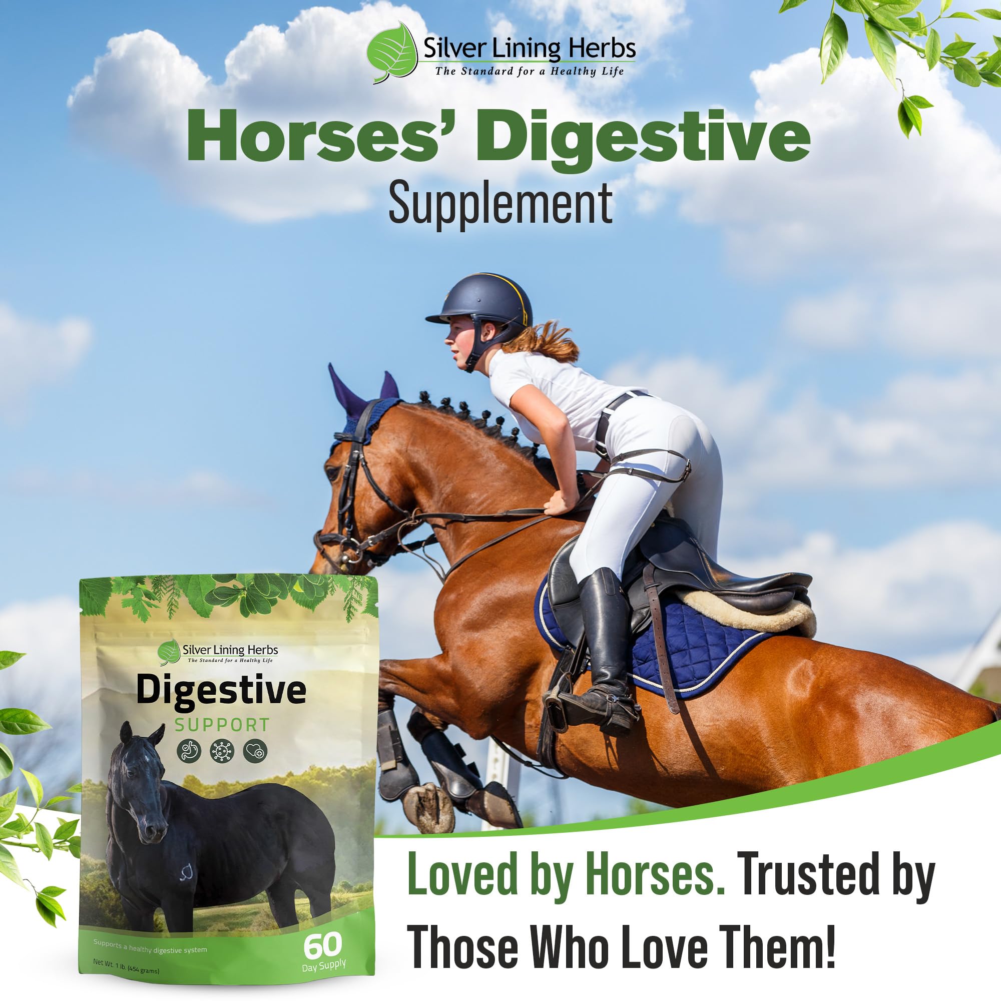 Silver Lining Herbs: caballo consumiendo polvo digestivo durante la comida