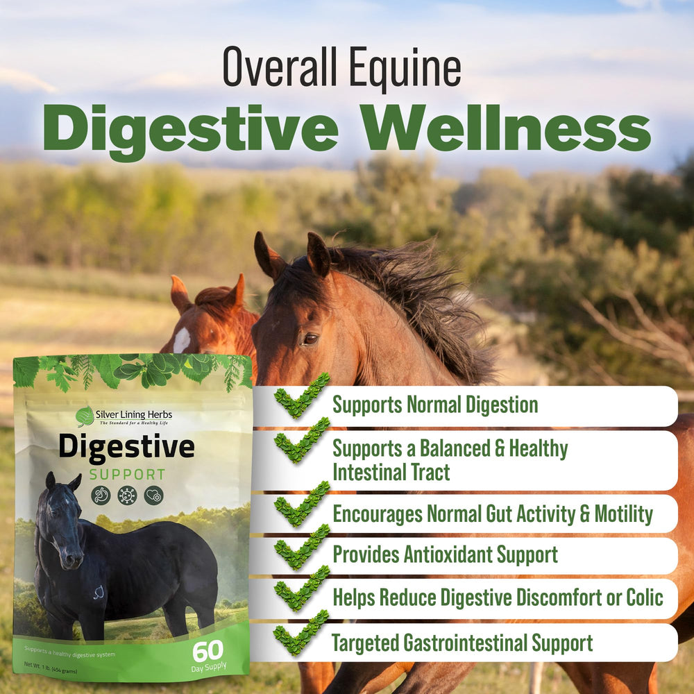 Silver Lining Herbs: cucharita medidora para dosis precisa del polvo digestivo caballos