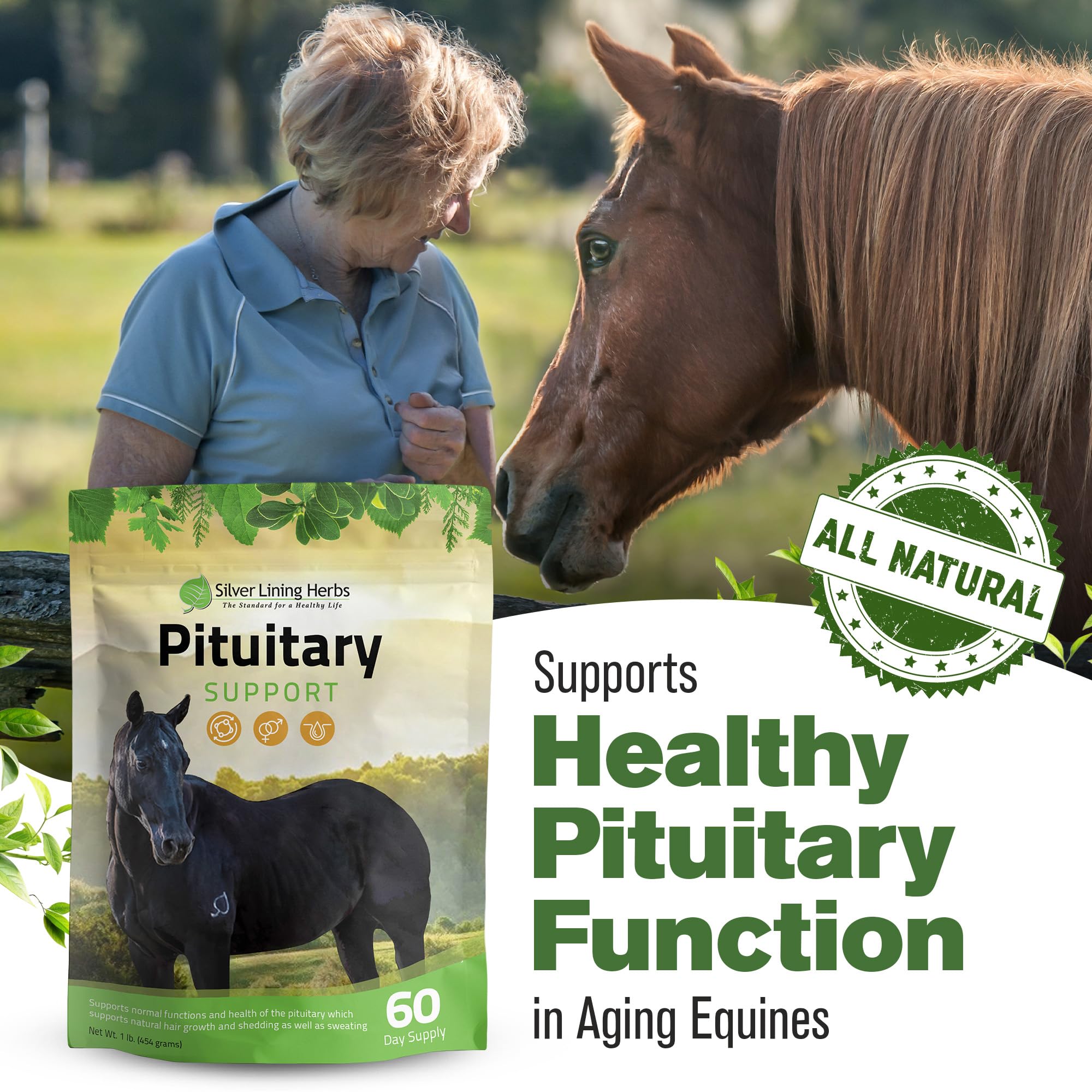 Apoyo a la muda y sudoración del caballo con Silver Lining Herbs.