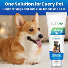 Aplicación de SilverAid en cortes y rasguños de perro para promover curación suave
