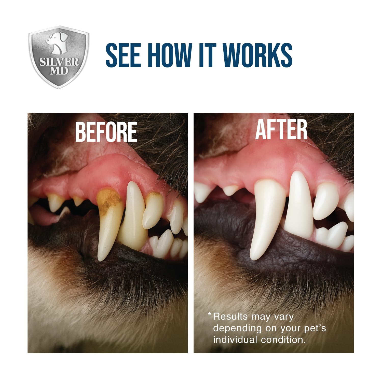 Gato durante uso dental con SilverMD, cuidado suave para encías.