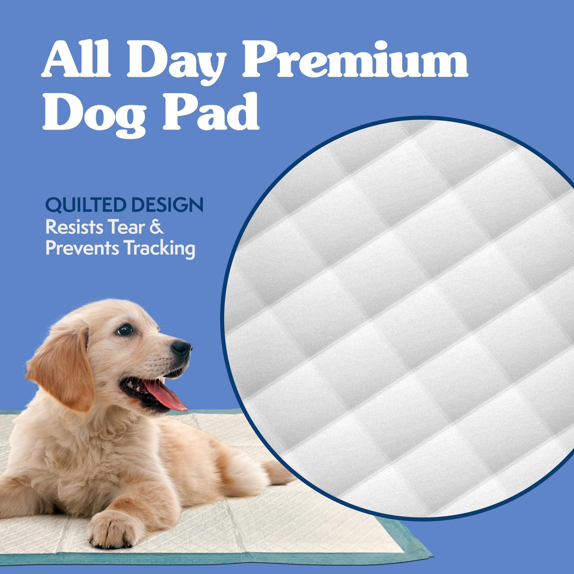 Simple Solution XL, perfecto para entrenar perros grandes en casa