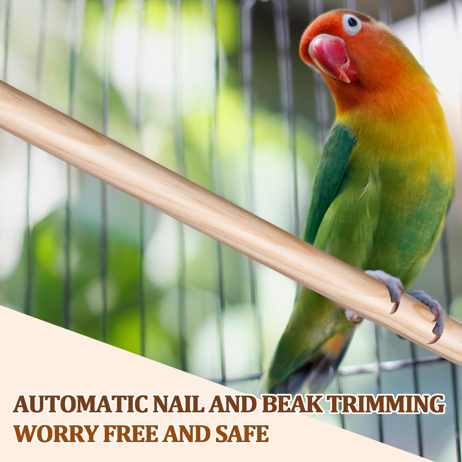 Percha Sintuff para aves, favorece movimiento y actividad.