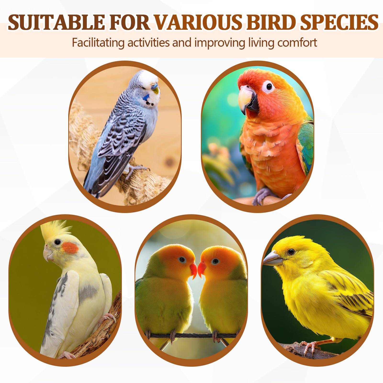 Percha Sintuff con diseño estable para aves activas.