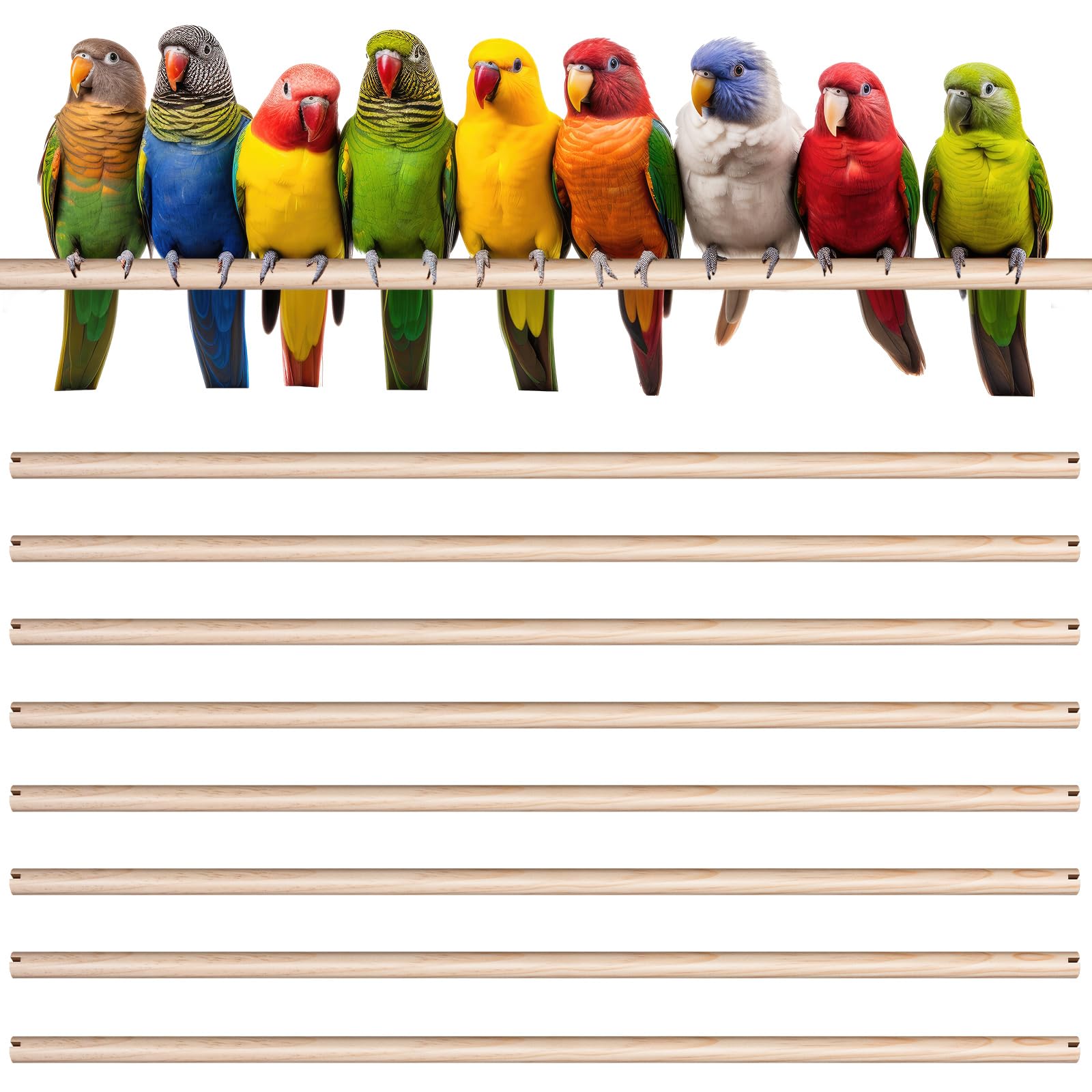 Percha Sintuff para jaula de 24 pulgadas, descanso cómodo para aves.