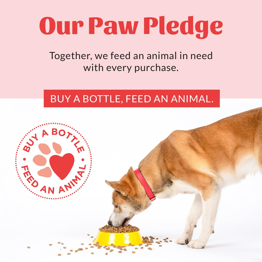 SKOUT'S HONOR programa Paw Pledge, dona comida a animales necesitados